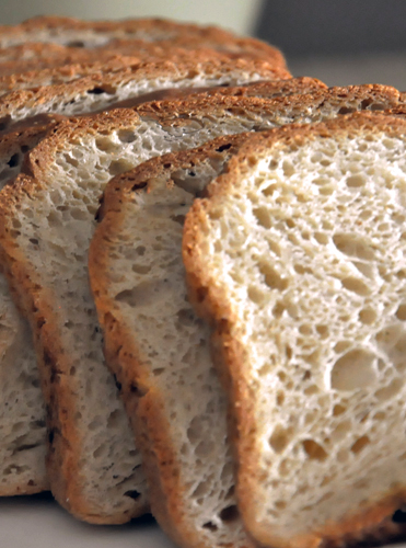 Gluten Free Breads